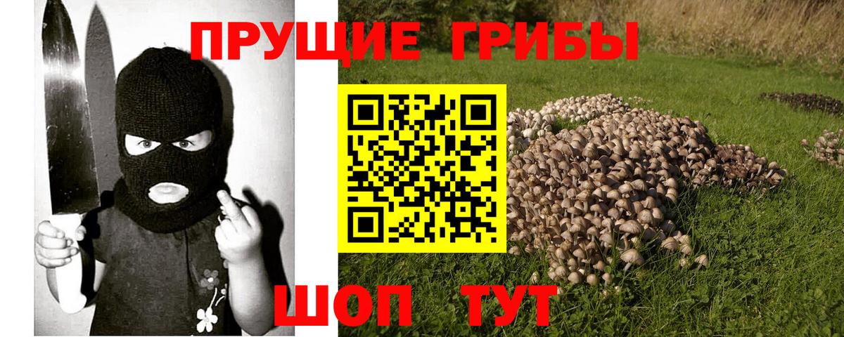 Галлюциногенные грибы Psilocybine cubensis  Вход с VPN  Лесной  Галлюциногенные грибы мухоморы 