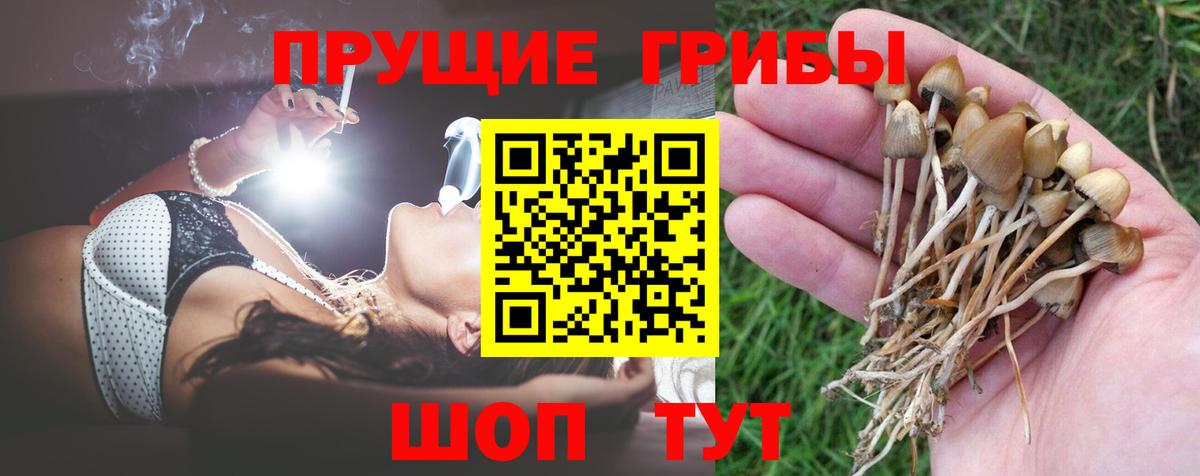 Псилоцибиновые грибы прущие грибы Лесной